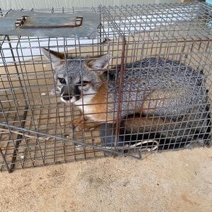 Meet your Posher, Tom